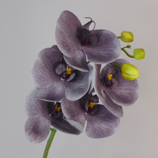 Artificial Phalaenopsis Orchid Lavender Grey 66cm Artificial Flowers